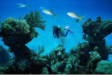 恐怖游戏《MADiSON》新预告公布 6月24日发售